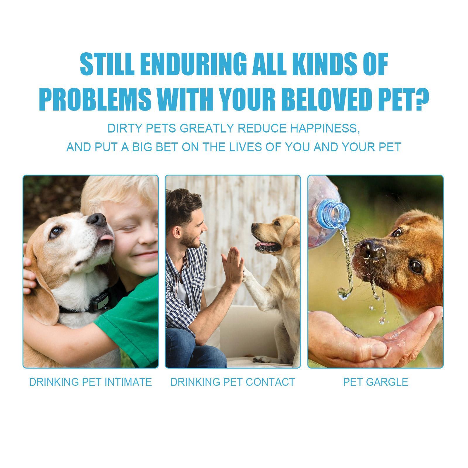 Edible Pet Toothpaste - Premium Oral Care for Fresh Breath - Woofcuties