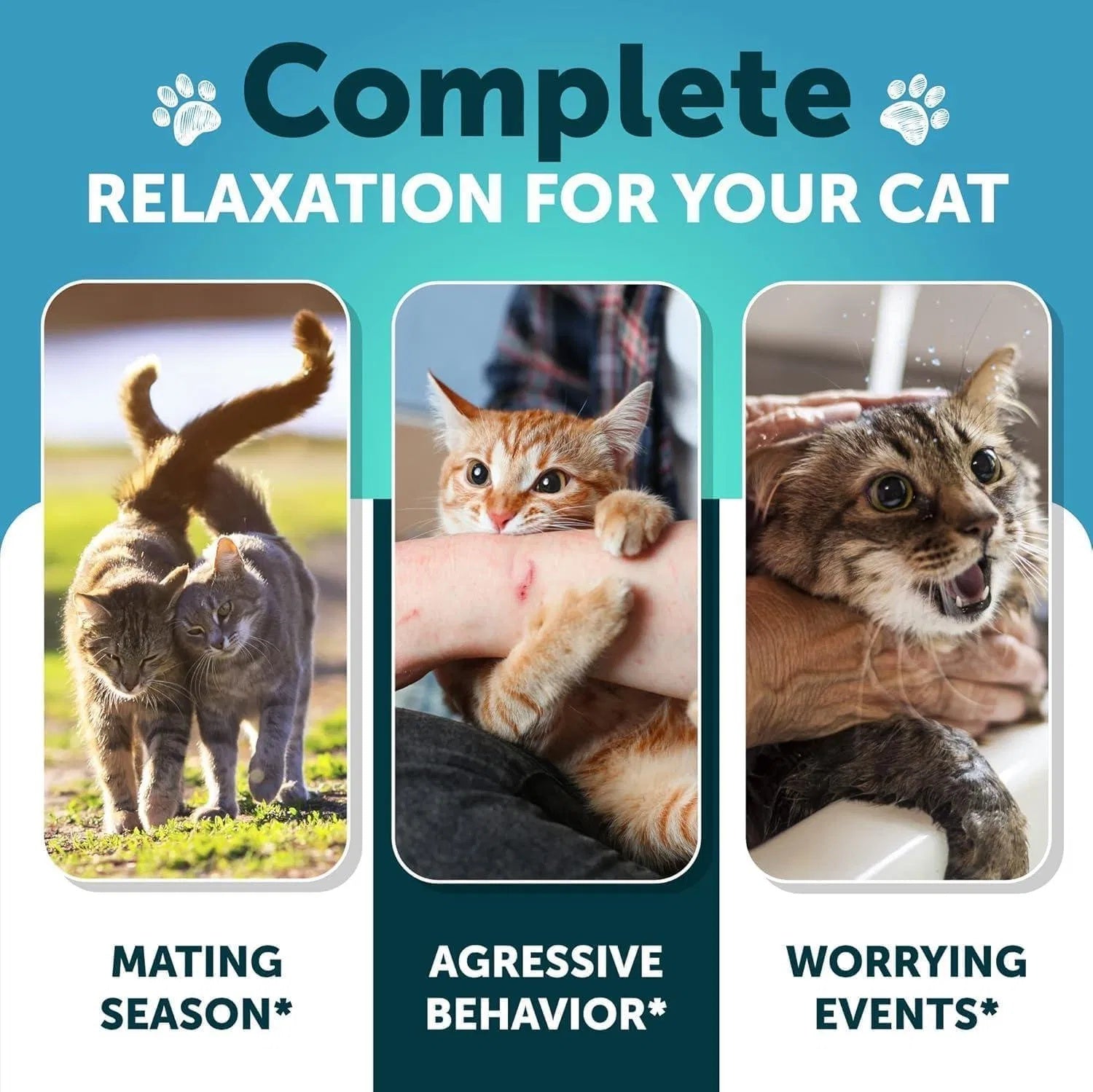 Premium Hemp Serenity Treats - Stress Relief with Melatonin - Woofcuties