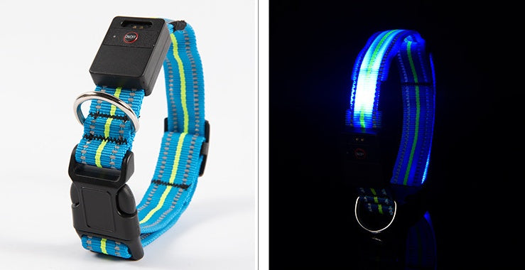 Brilliant Fiber Optic Pet Collar - Woofcuties