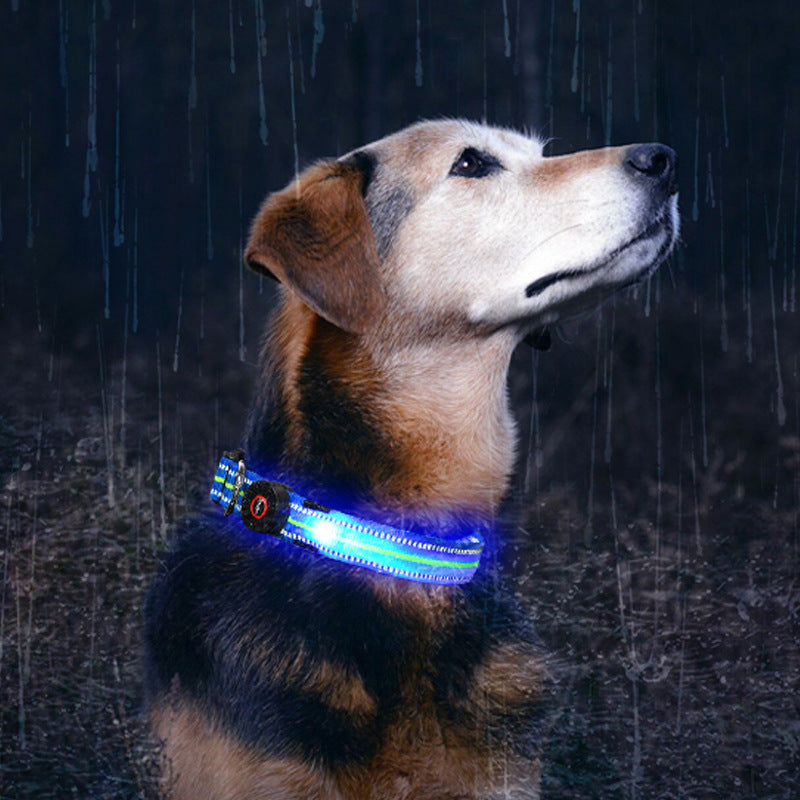 Brilliant Fiber Optic Pet Collar - Woofcuties