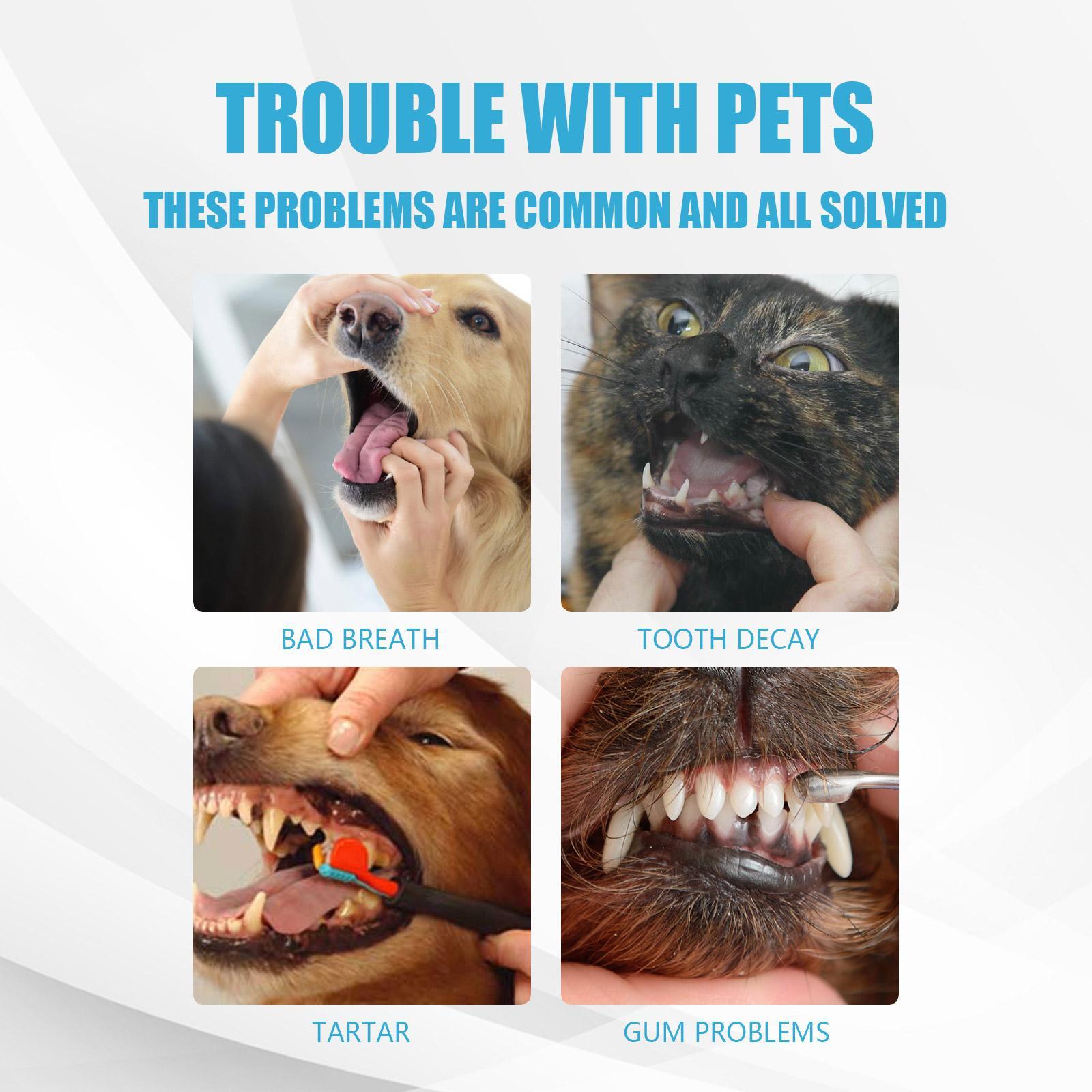 Edible Pet Toothpaste - Premium Oral Care for Fresh Breath - Woofcuties