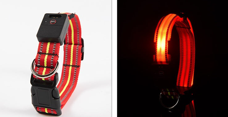 Brilliant Fiber Optic Pet Collar - Woofcuties