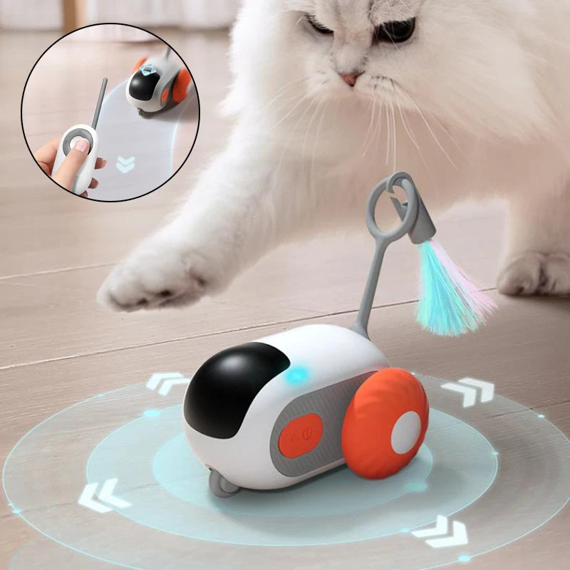 Remote Control Mouse for Cats - USB Charging Chasing Toy - Woofcuties