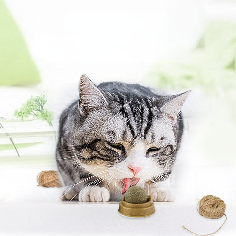 Catnip Balls - Rotary Molar Teeth Cleaning Cat Treats - Woofcuties