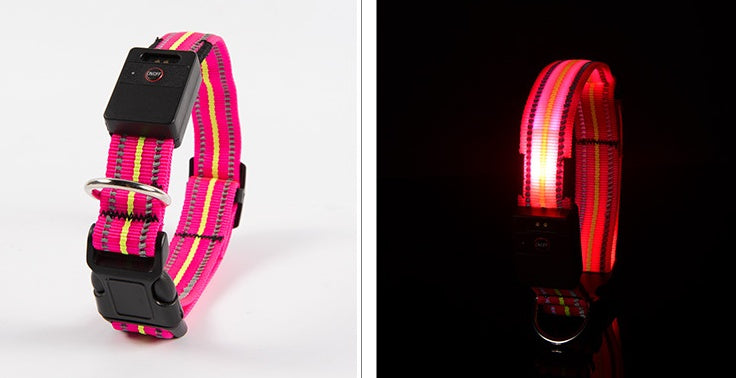 Brilliant Fiber Optic Pet Collar - Woofcuties