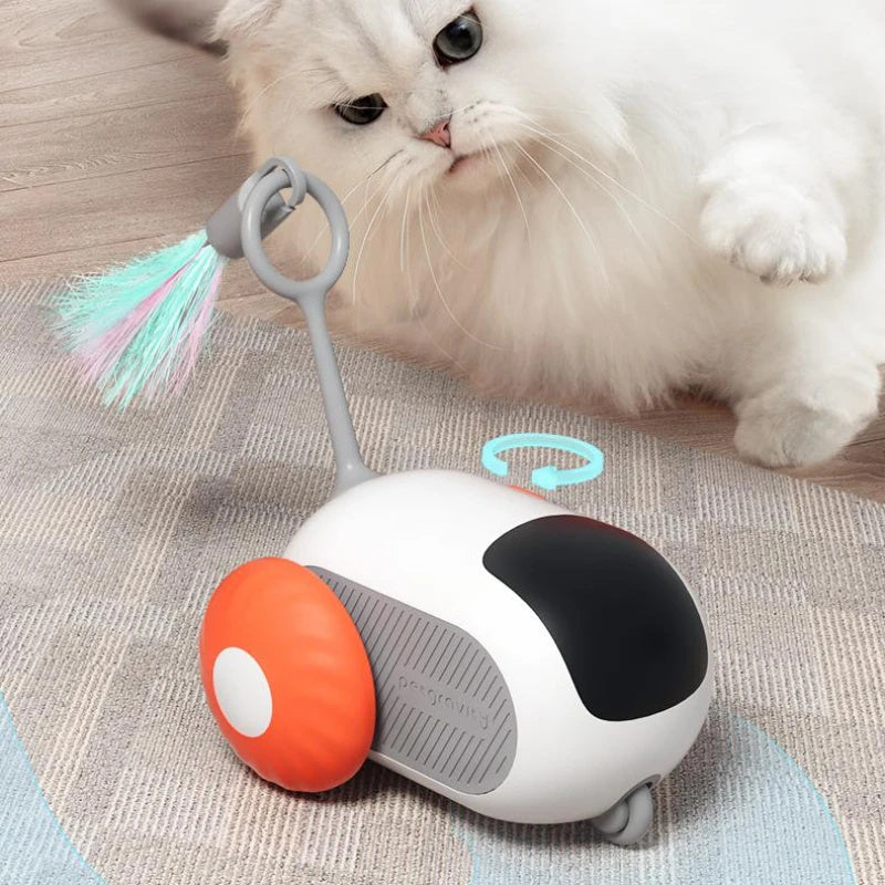 Remote Control Mouse for Cats - USB Charging Chasing Toy - Woofcuties