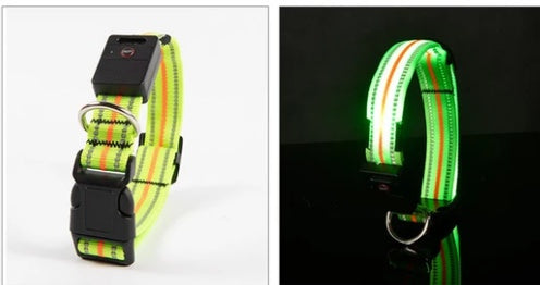 Brilliant Fiber Optic Pet Collar - Woofcuties