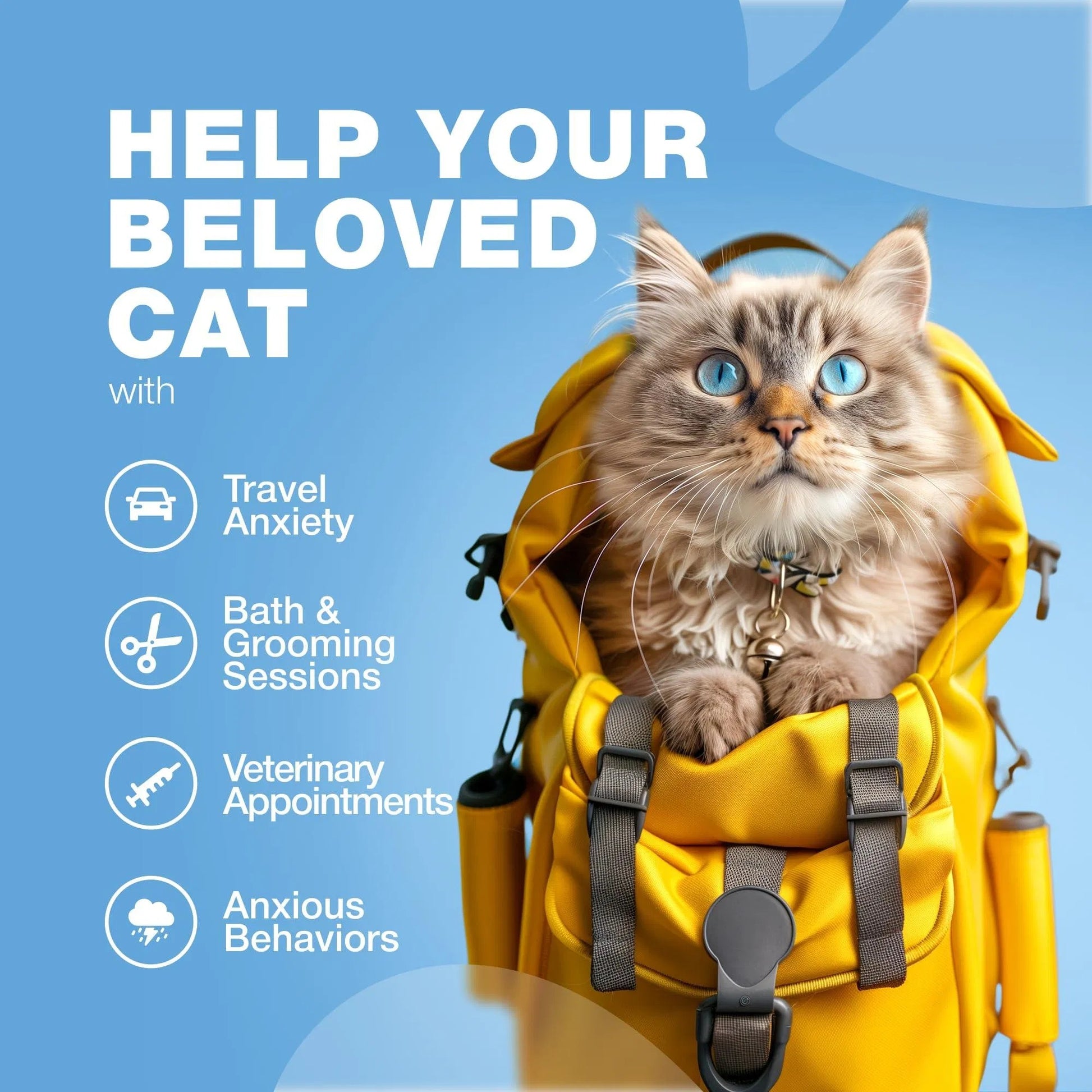 Premium Hemp Calming Care Treats - Premium Melatonin Soft Chews for Cats - Woofcuties