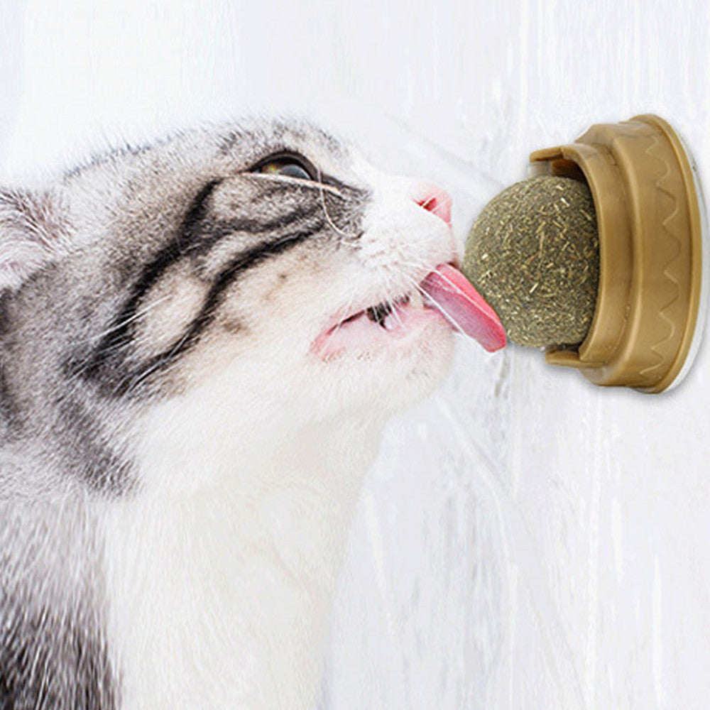 Catnip Balls - Rotary Molar Teeth Cleaning Cat Treats - Woofcuties
