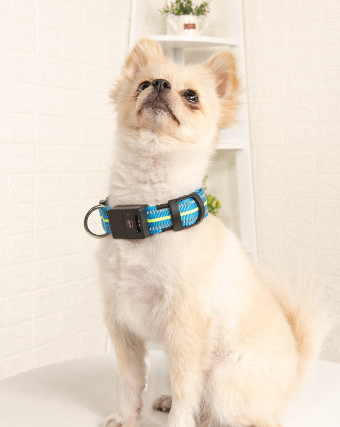 Brilliant Fiber Optic Pet Collar - Woofcuties