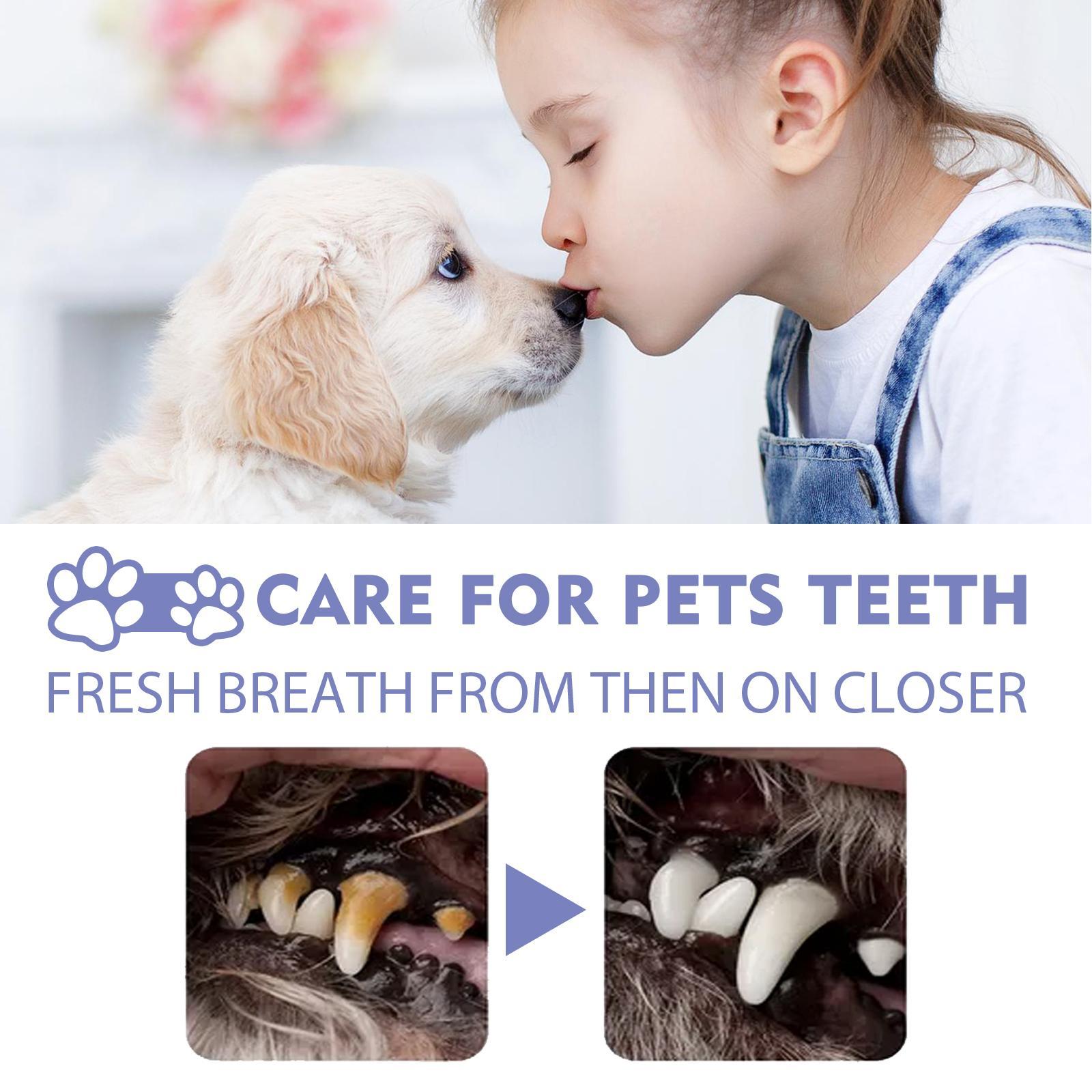 Premium Oral Care for Pets - Teeth Cleaning Spray for Pets - Woofcuties