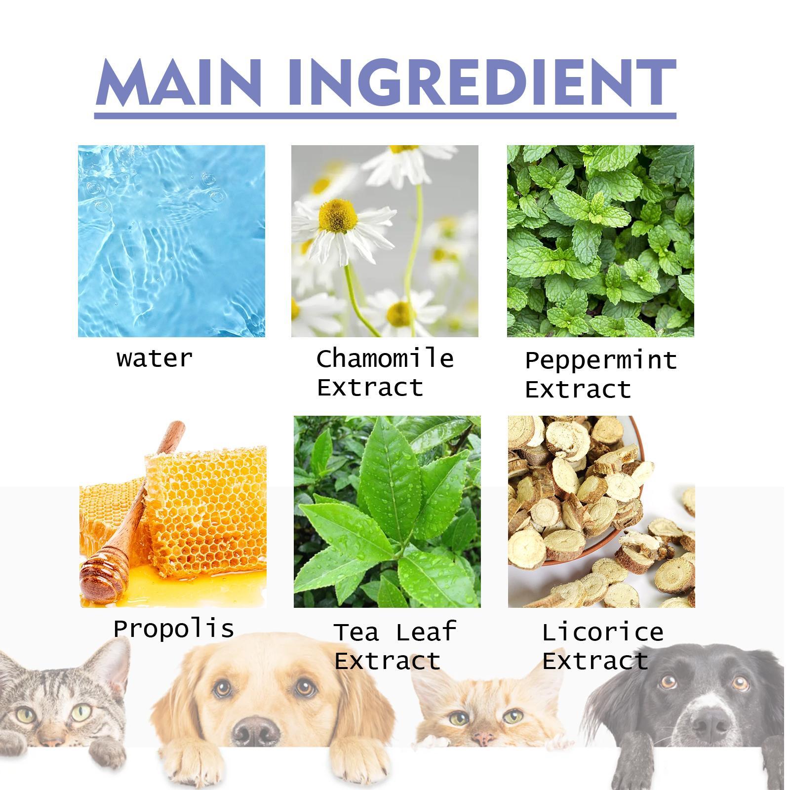 Premium Oral Care for Pets - Teeth Cleaning Spray for Pets - Woofcuties
