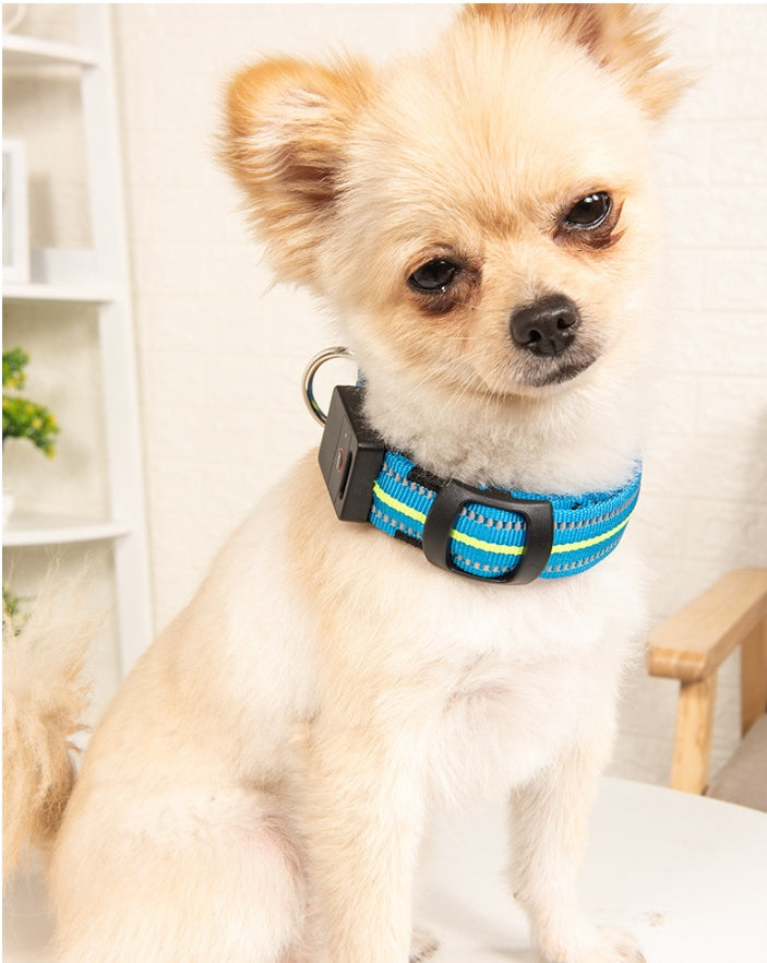 Brilliant Fiber Optic Pet Collar - Woofcuties