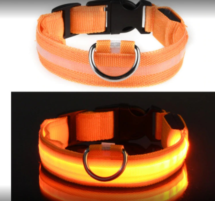 Brilliant Fiber Optic Pet Collar - Woofcuties