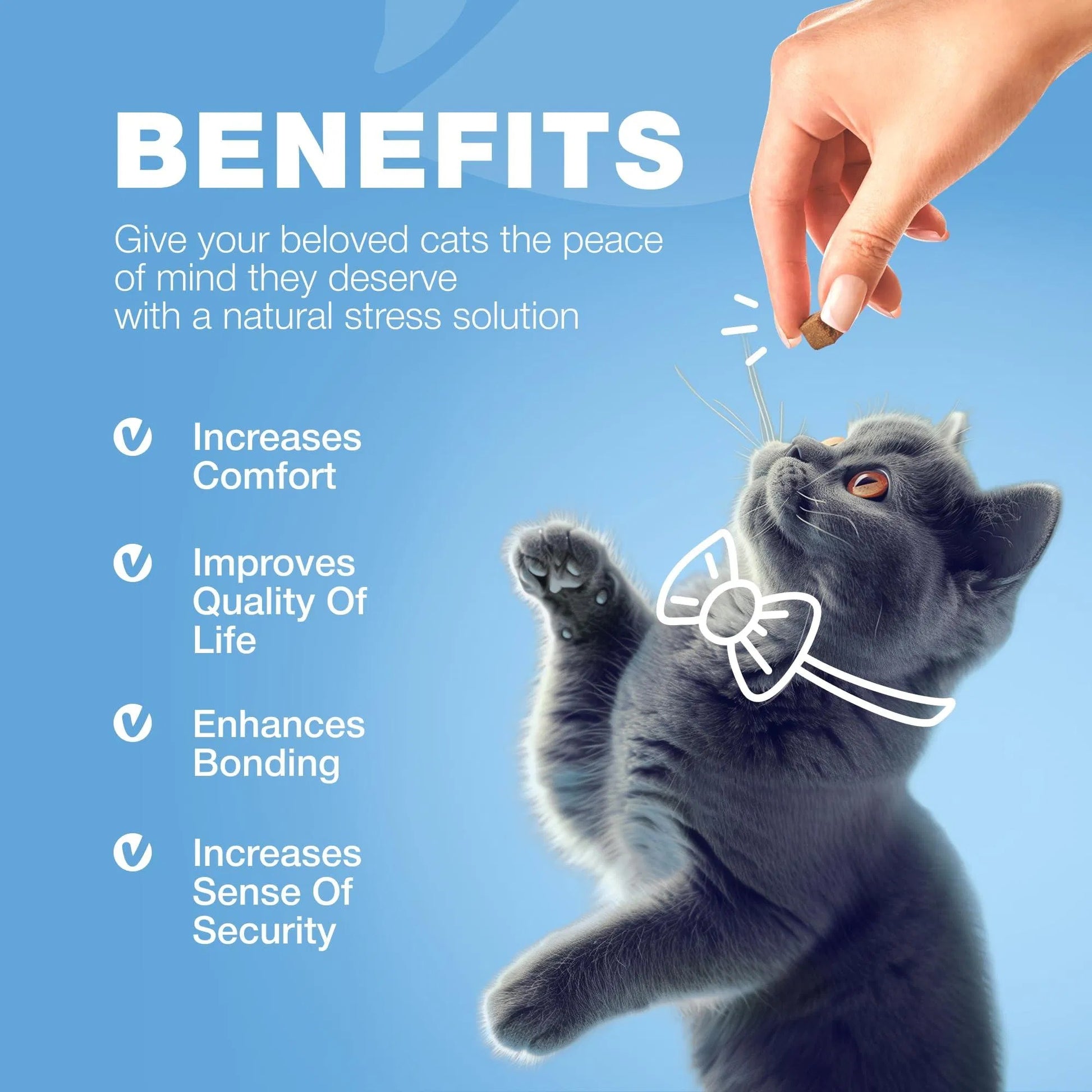 Premium Hemp Calming Care Treats - Premium Melatonin Soft Chews for Cats - Woofcuties