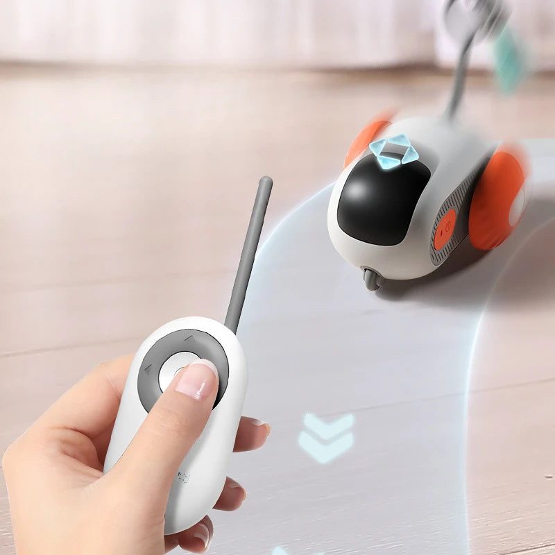 Remote Control Mouse for Cats - USB Charging Chasing Toy - Woofcuties