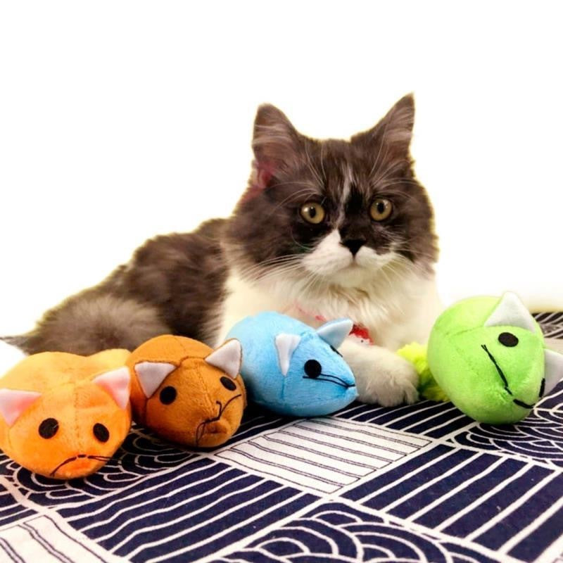 Long Tail Mouse Cat Teaser Toy - Woofcuties
