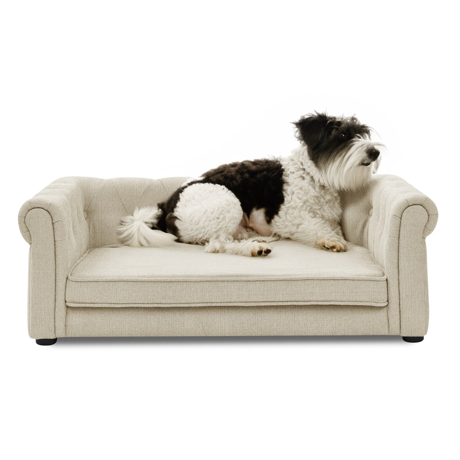 Majestic Pet Lounge - Opulent Rectangular Linen Sofa with Curved Backrest - Woofcuties