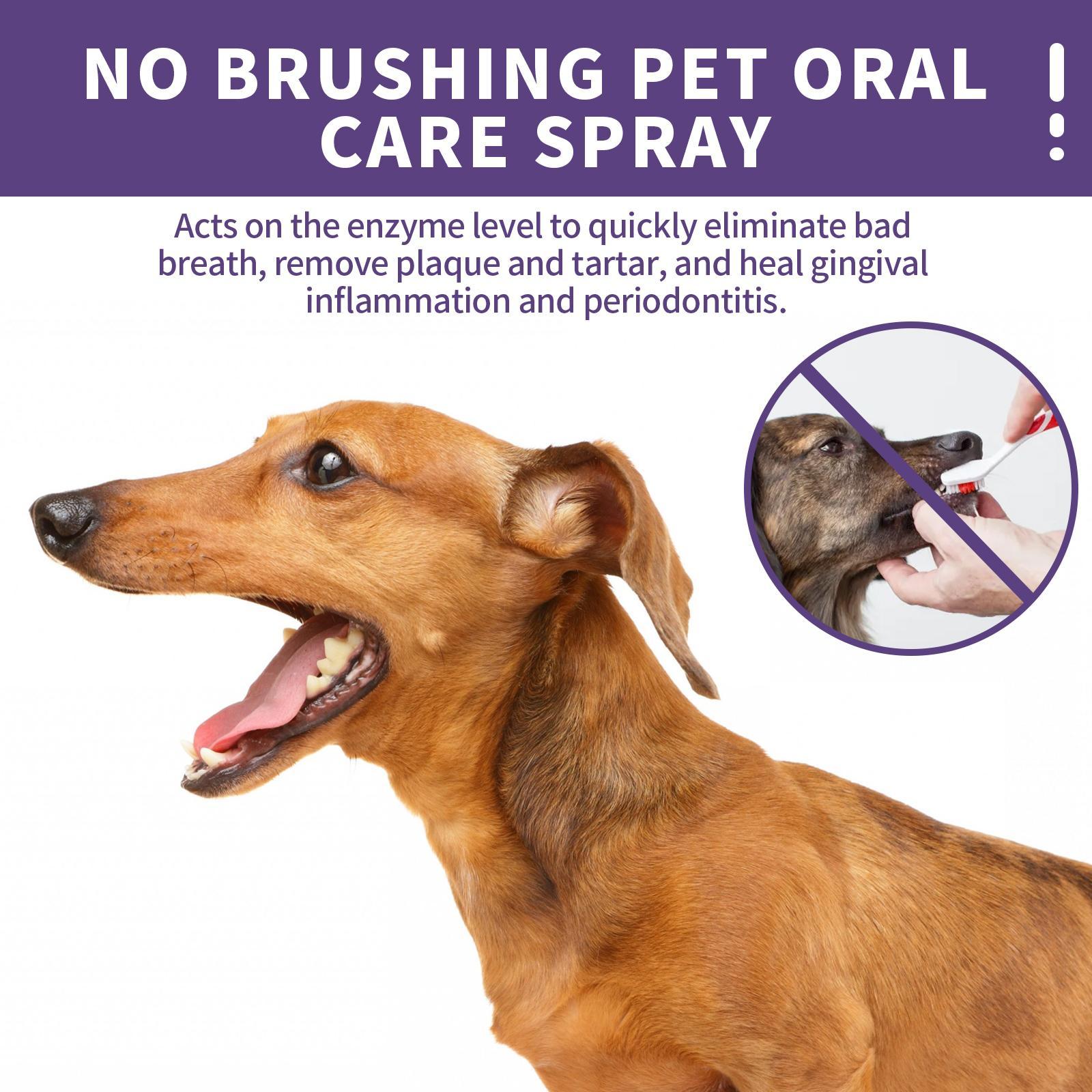 Premium Oral Care for Pets - Teeth Cleaning Spray for Pets - Woofcuties