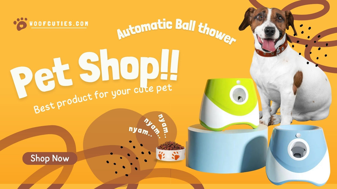 Dog Toy Automatic Ball Thrower: The Ultimate Fetch Companion for 2025