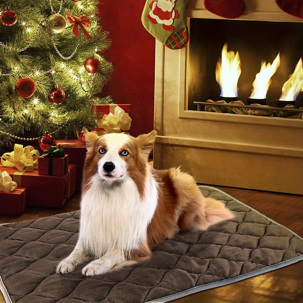 Self-Heating Thermal Pet Pad - Premium Extra Warm Bed for Cats and Dogs - Woofcuties
