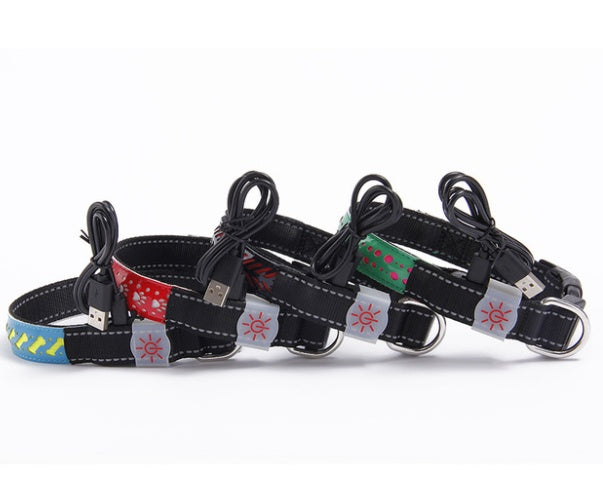 Vibrant LED Light Pet Collar - Woofcuties
