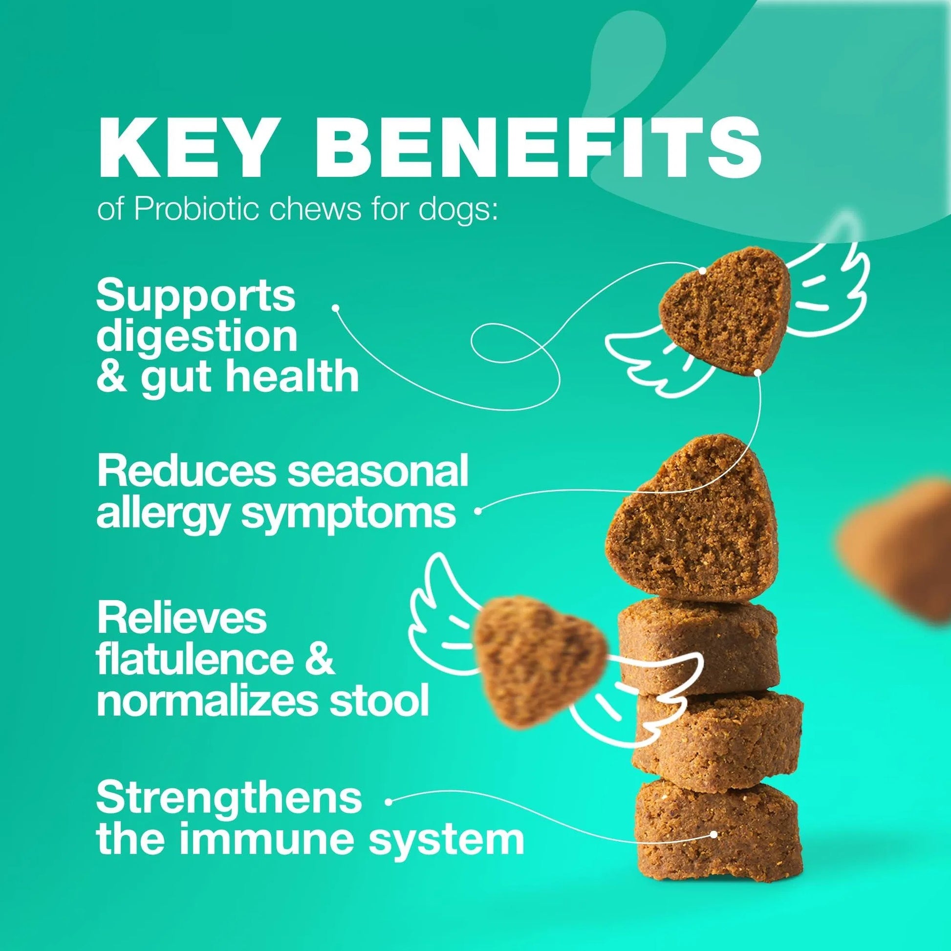 Probiotic Wellness Chews - Premium Gut Health and Coprophagia Deterrent for Dogs - Woofcuties