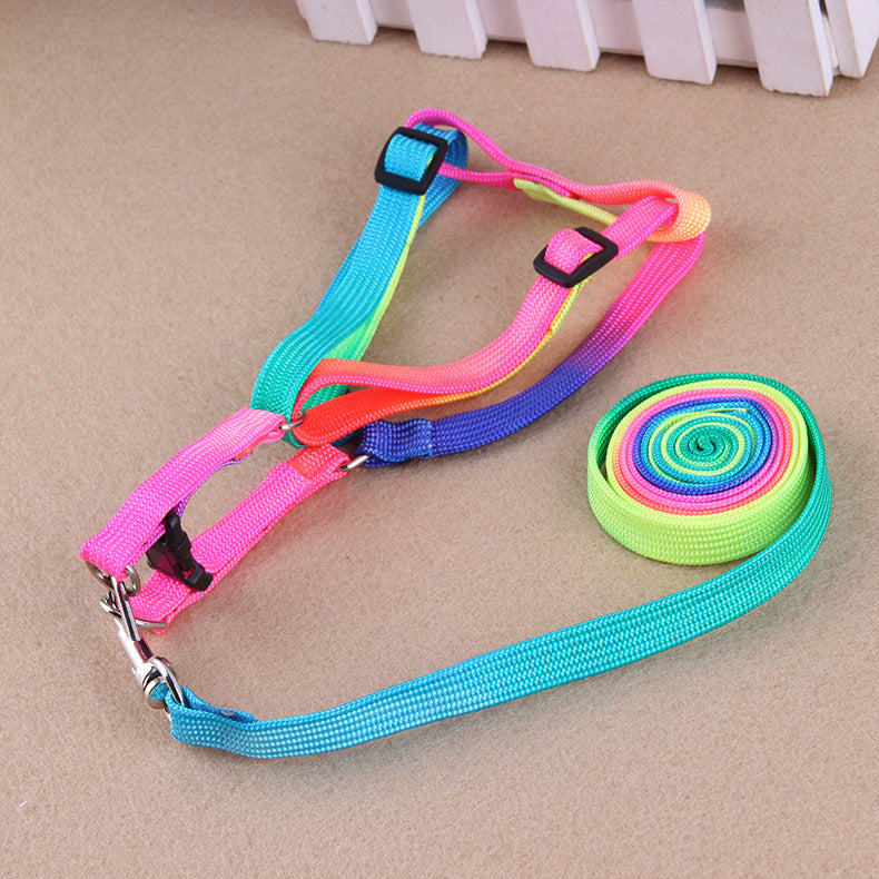 WoofCuties Vibrant Spectrum Leash Collection - Woofcuties
