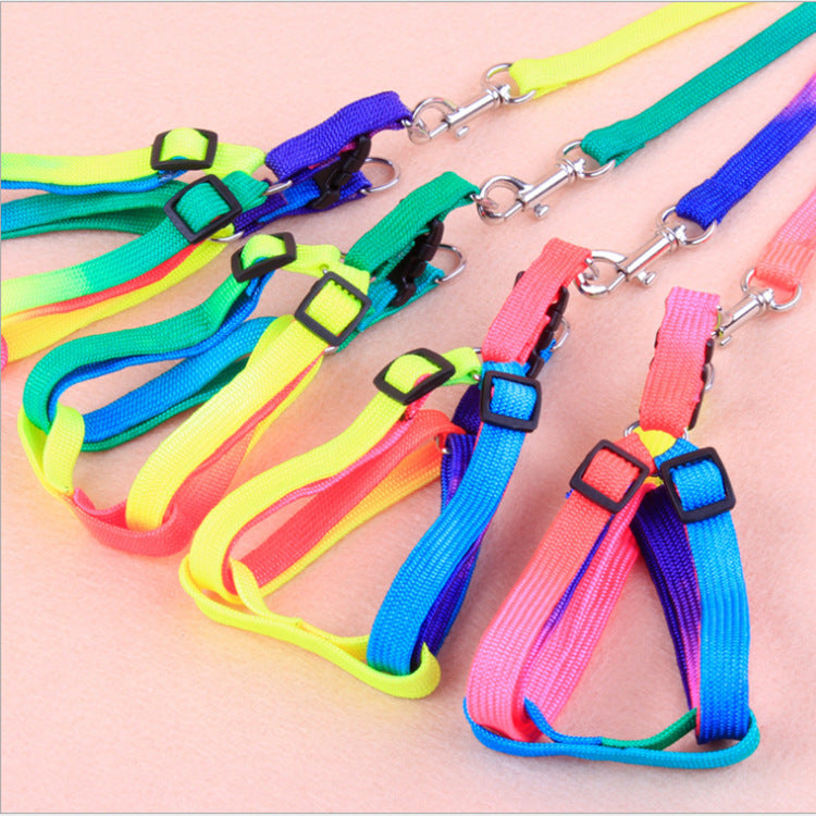 WoofCuties Vibrant Spectrum Leash Collection - Woofcuties