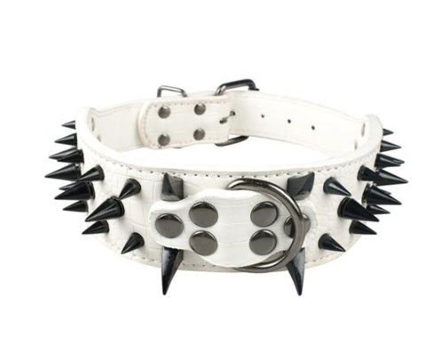 Rugged Leather Spike Dog Collar - Woofcuties