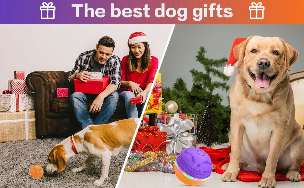 Interactive Dog Toys Ball - Woofcuties