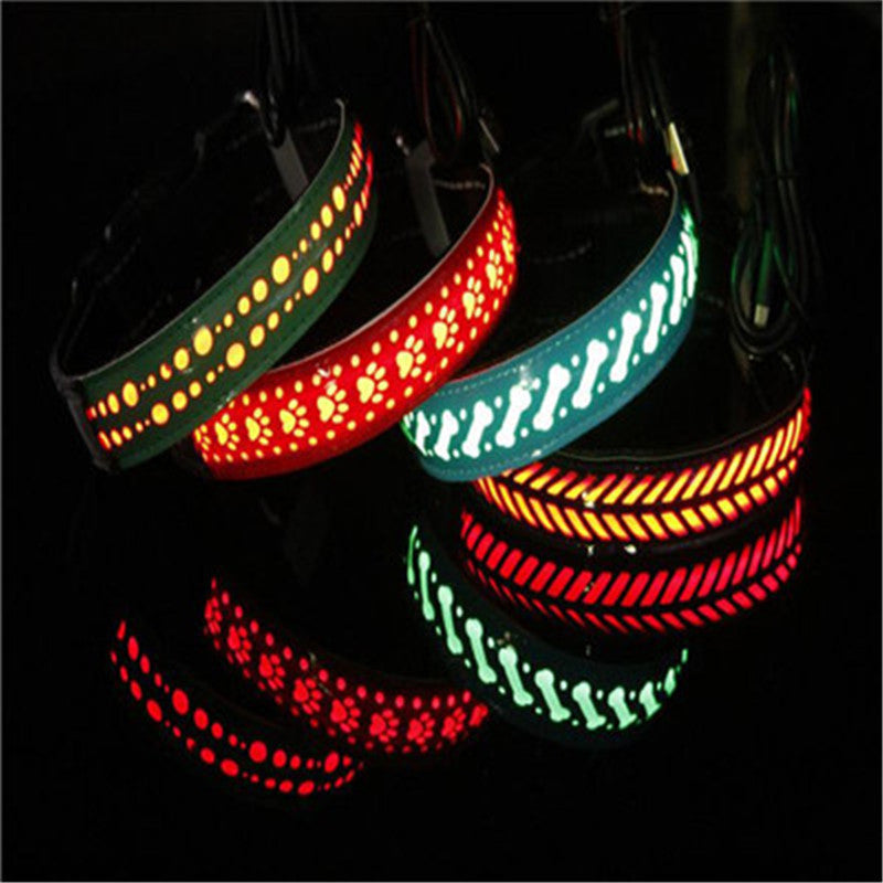 Vibrant LED Light Pet Collar - Woofcuties