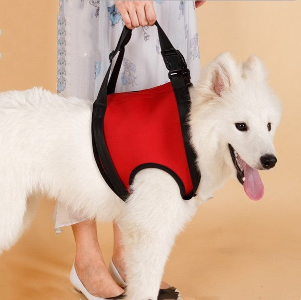 Pet Specific Safety Care Equipment Auxiliary Belt - Woofcuties