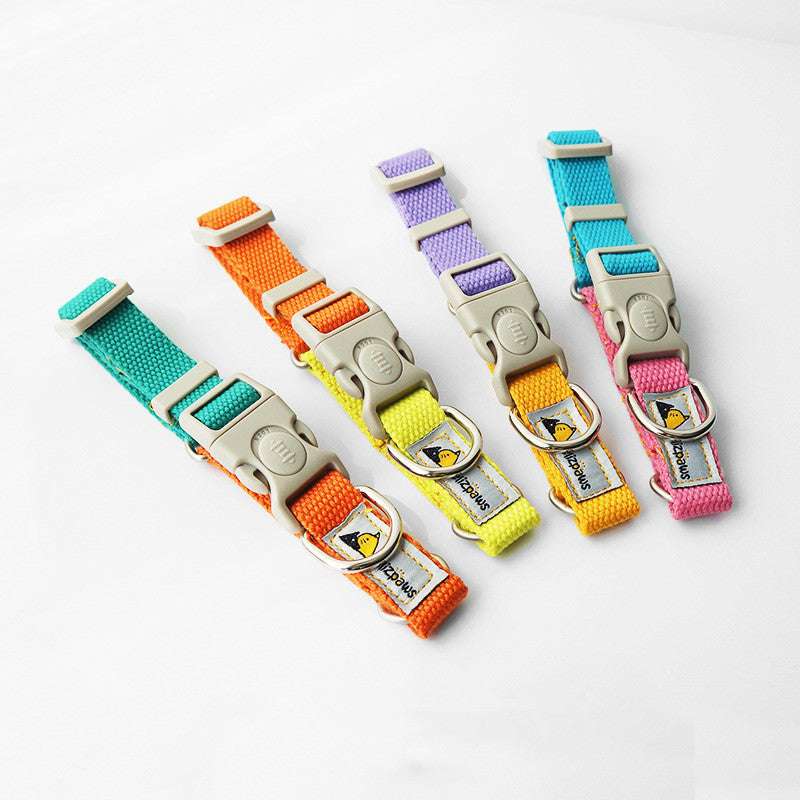 Vibrant Hit-Color Pet Collar - Woofcuties