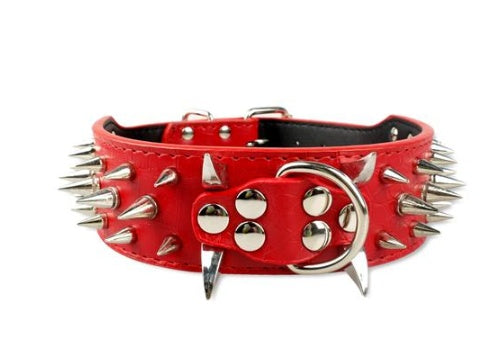 Rugged Leather Spike Dog Collar - Woofcuties