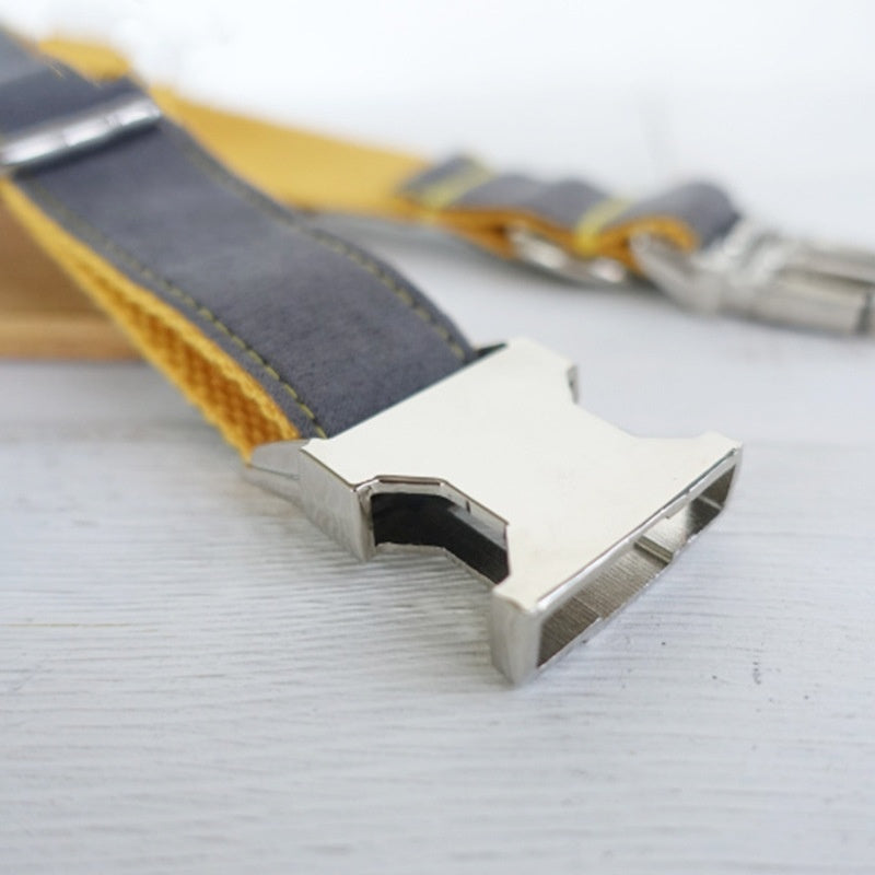 Innovative Retractable Learning Dog Collar - Woofcuties