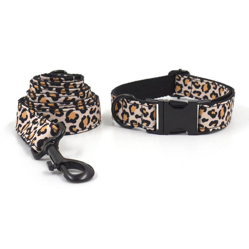 Exquisite Opulent Black Buckle Leash Set - Woofcuties