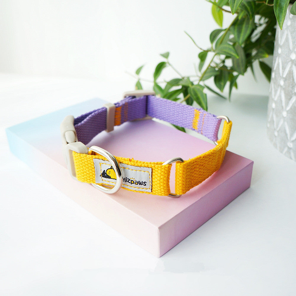 Vibrant Hit-Color Pet Collar - Woofcuties