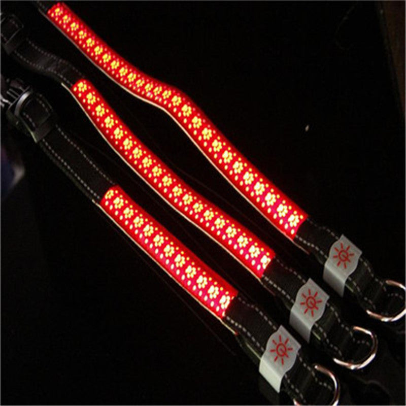 Vibrant LED Light Pet Collar - Woofcuties