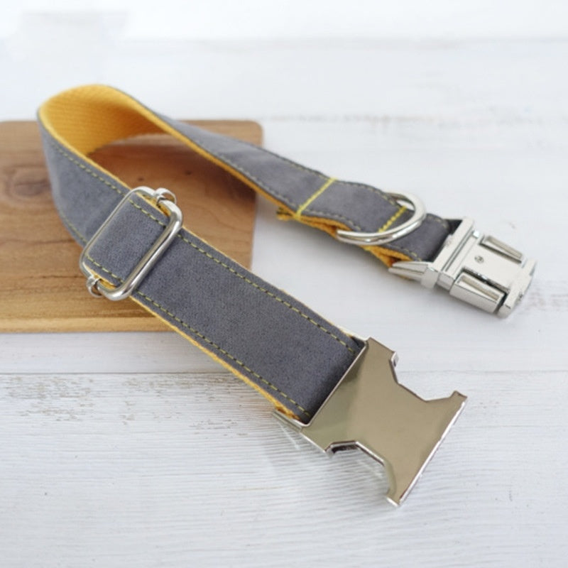 Innovative Retractable Learning Dog Collar - Woofcuties