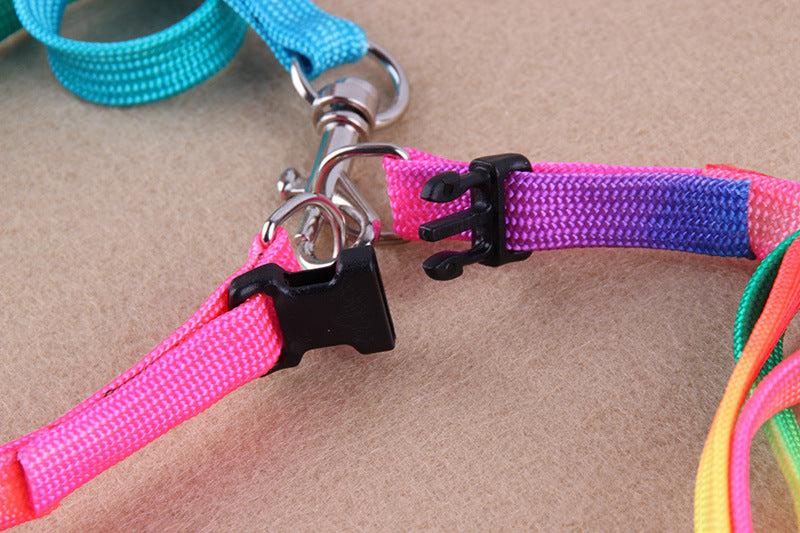 WoofCuties Vibrant Spectrum Leash Collection - Woofcuties
