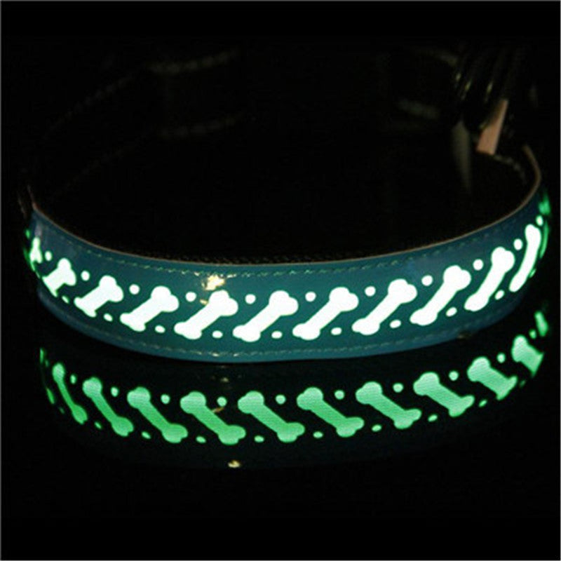 Vibrant LED Light Pet Collar - Woofcuties