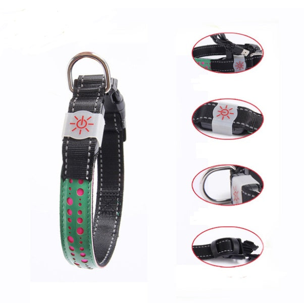 Vibrant LED Light Pet Collar - Woofcuties