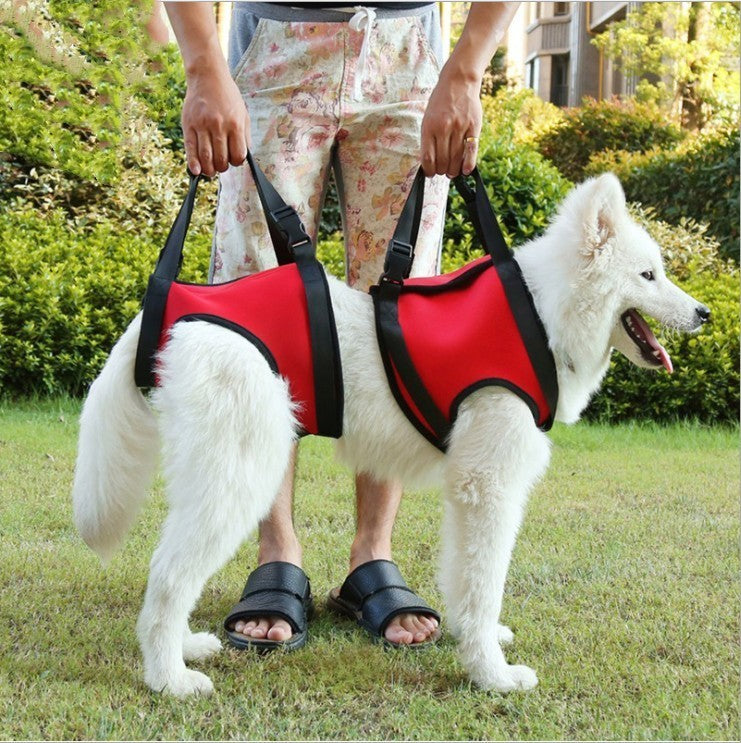 Pet Specific Safety Care Equipment Auxiliary Belt - Woofcuties