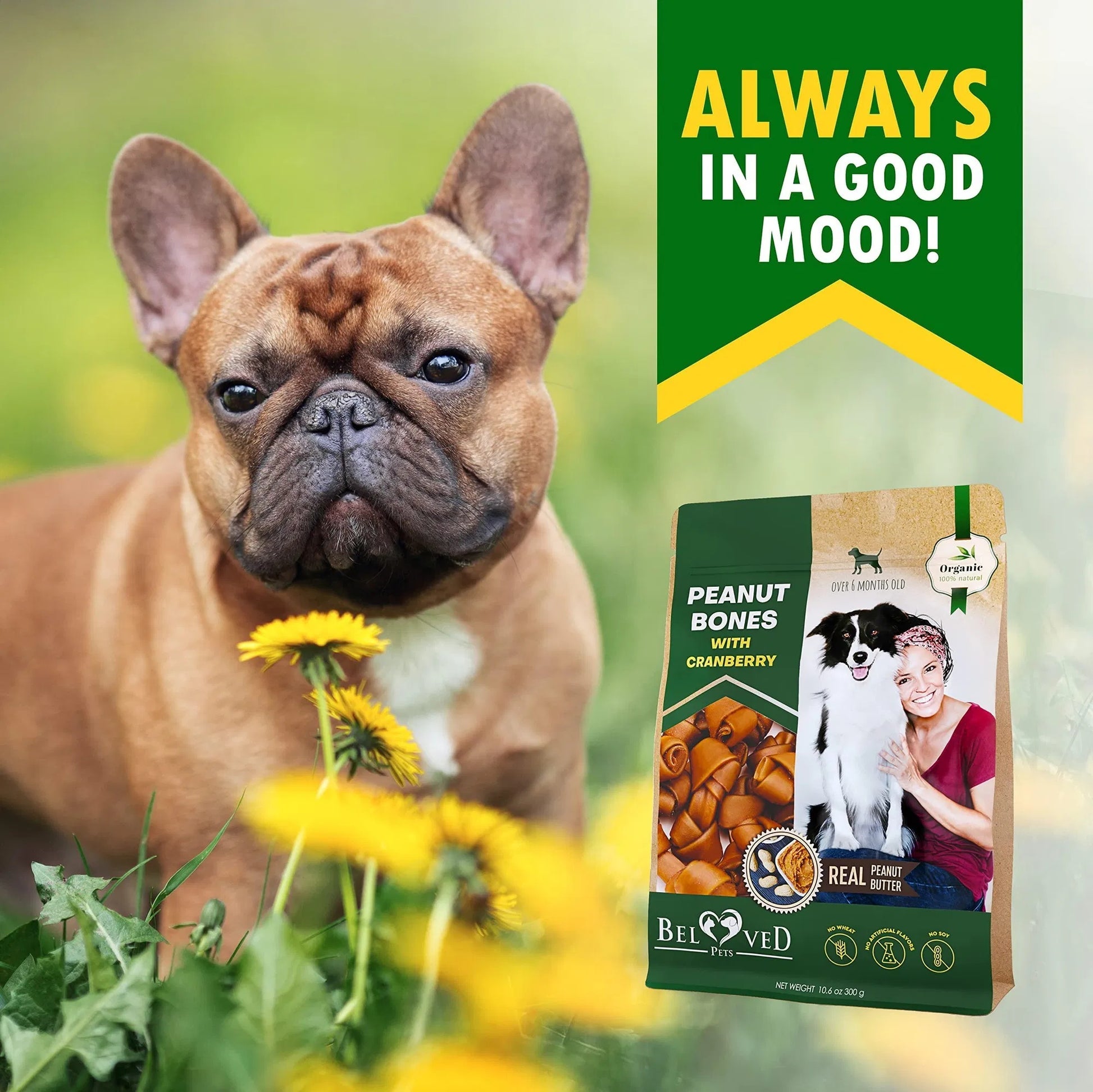 Premium Peanut Butter Cranberry Bones - Premium Rawhide-Free Collagen Chews - Woofcuties