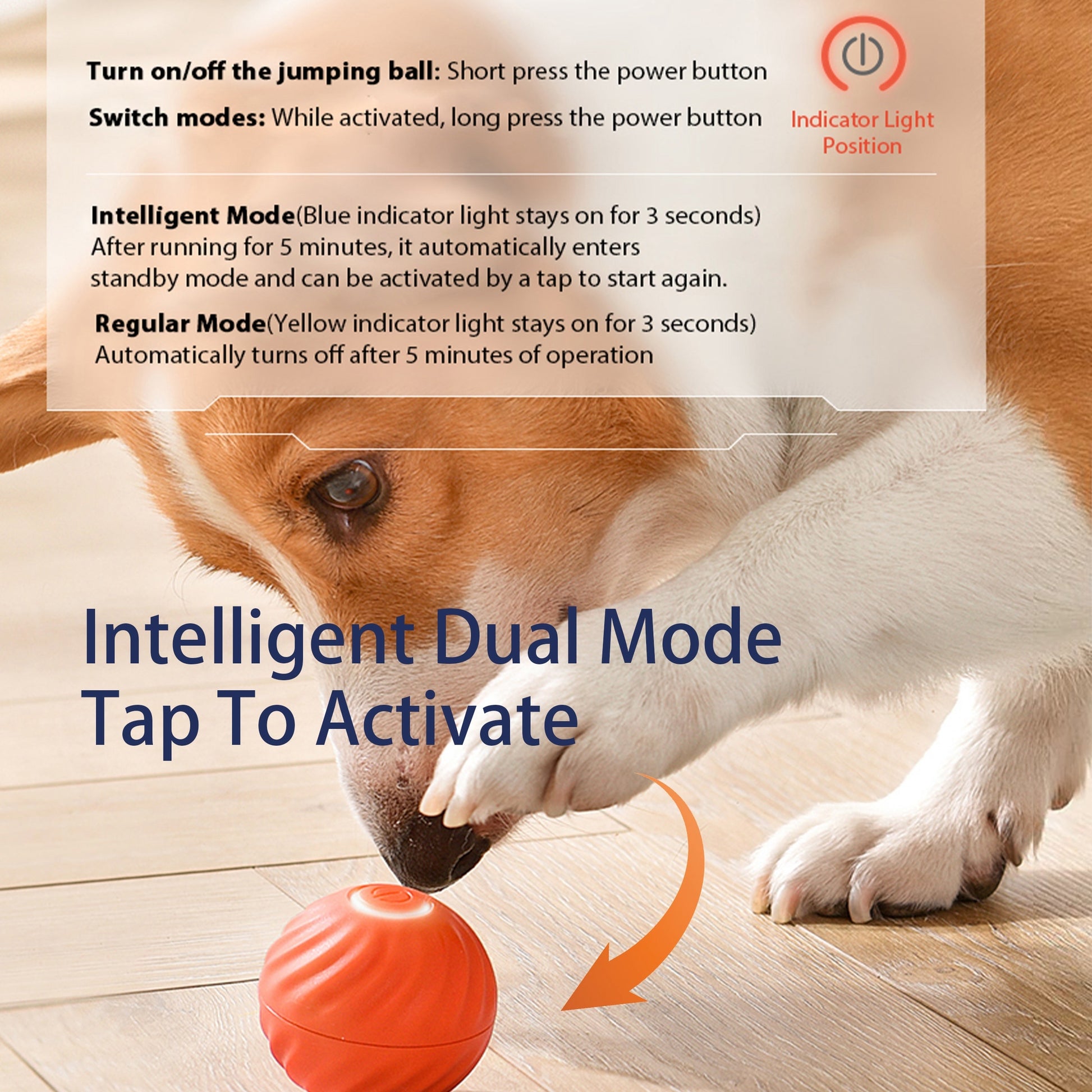 Interactive Bouncing Ball - Premium Rechargeable Smart Toy for Dogs - Woofcuties