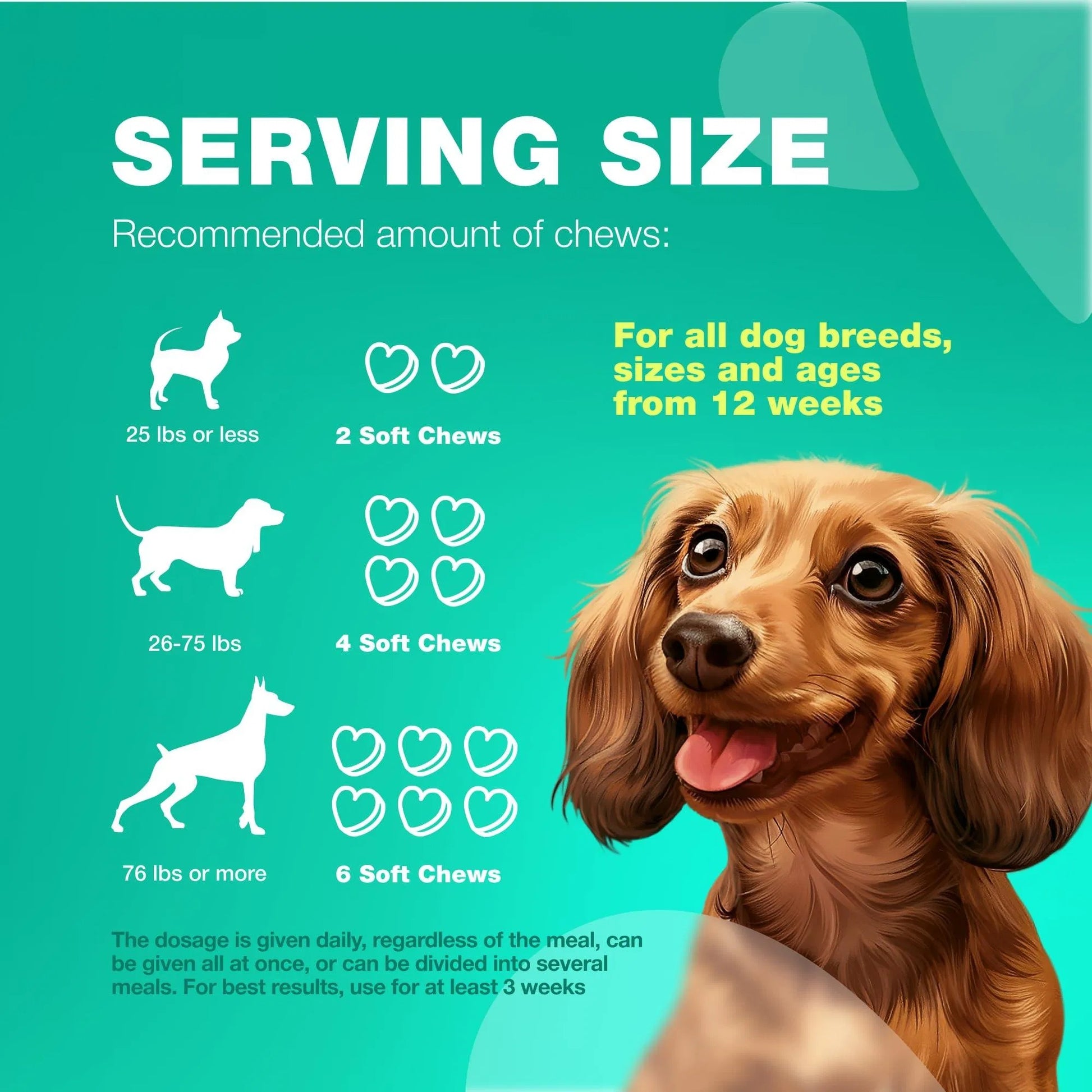 Probiotic Wellness Chews - Premium Gut Health and Coprophagia Deterrent for Dogs - Woofcuties