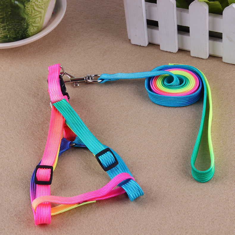 WoofCuties Vibrant Spectrum Leash Collection - Woofcuties