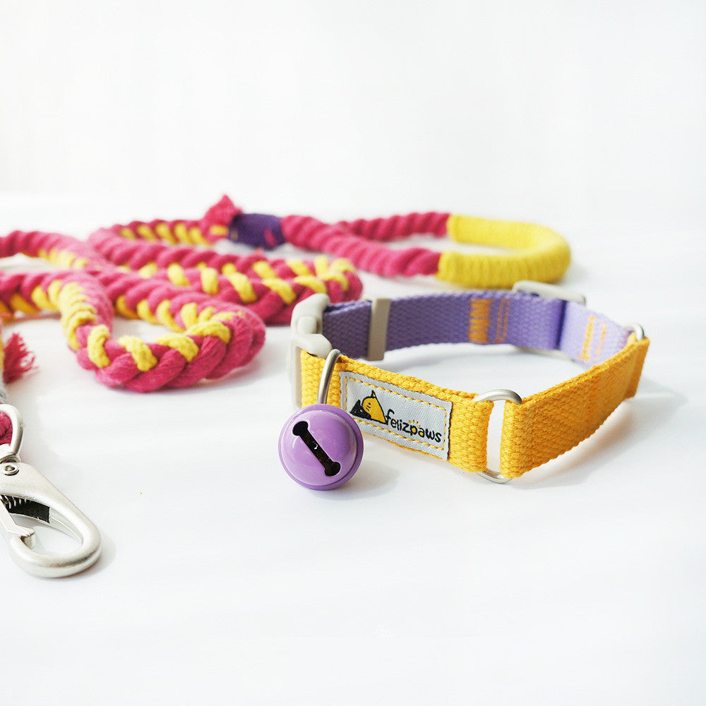 Vibrant Hit-Color Pet Collar - Woofcuties