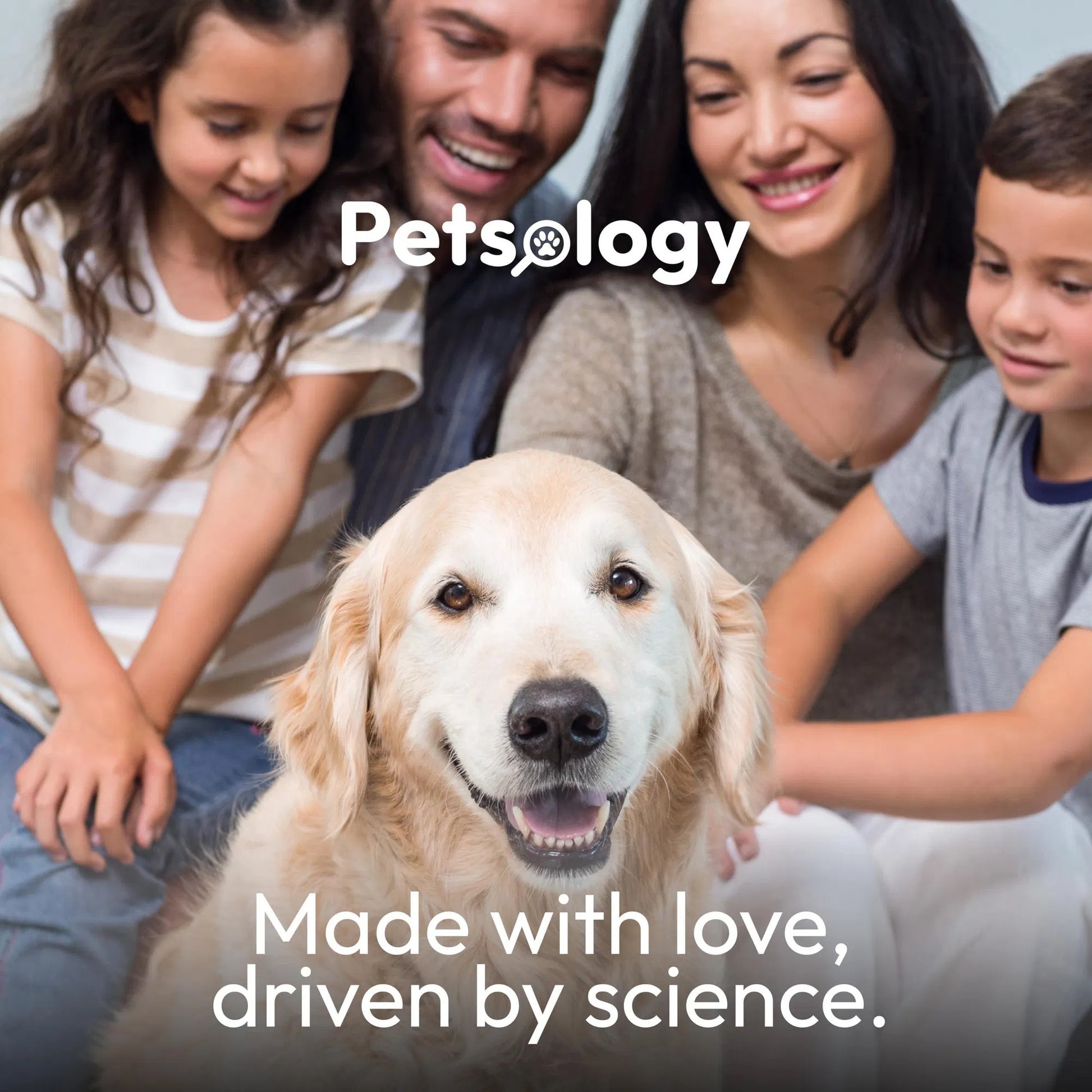 Deluxe Dog Probiotic Chews - Premium Digestive Health Support with Enzymes - Woofcuties